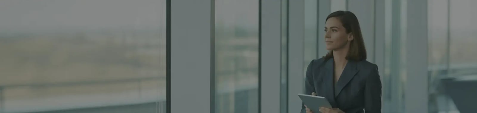 Payroll services banner