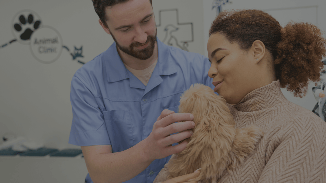 Payroll services banner